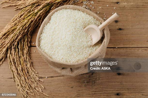 生玄米と木製のテーブルで乾燥稲 - 稲 ストックフォトと画像