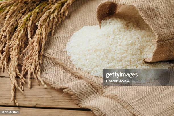 roher reis getreide und trockene reispflanze auf holztisch - rice grain stock-fotos und bilder