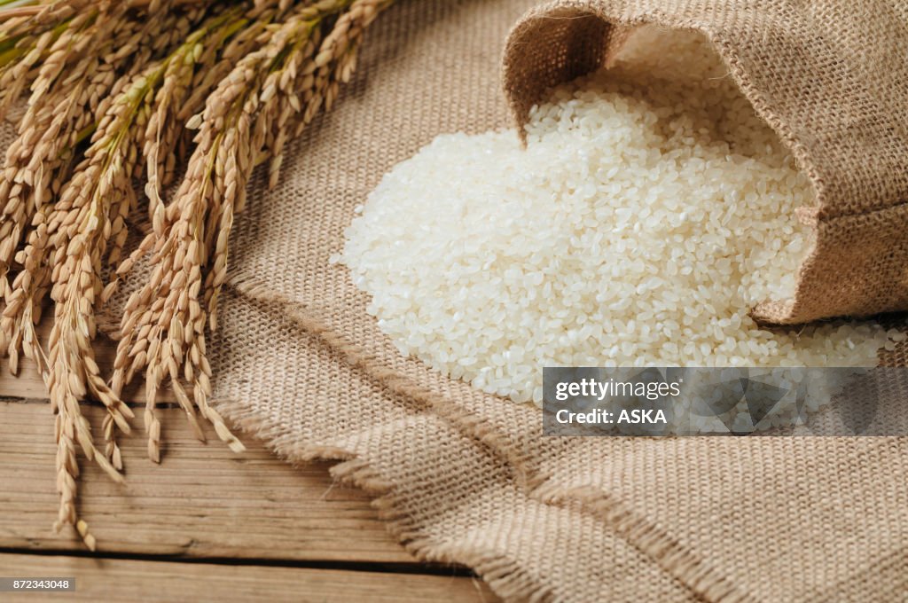 Grão de arroz cru e a planta de arroz seco na mesa de madeira