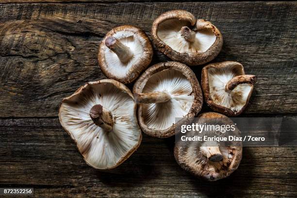 shiitake still life - hongos fotografías e imágenes de stock