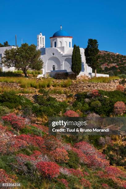 greece, cyclades, sifnos - sifnos stock-fotos und bilder