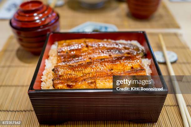 unagi don or grilled eel rice, one of famous japanese food - anguille du japon photos et images de collection