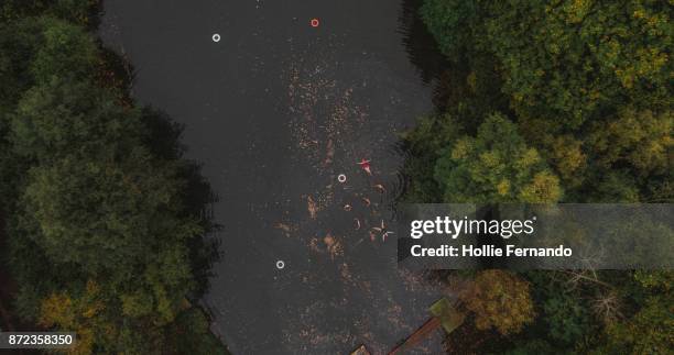 wild swimming women's group autumnal swim ariel view - hampstead london 個照片及圖片檔