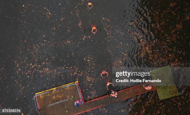 wild swimming women's group autumnal swim ariel view - hampstead heath - fotografias e filmes do acervo