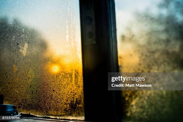 winter morning golden sun looking through a window in london uk - condensation stock pictures, royalty-free photos & images