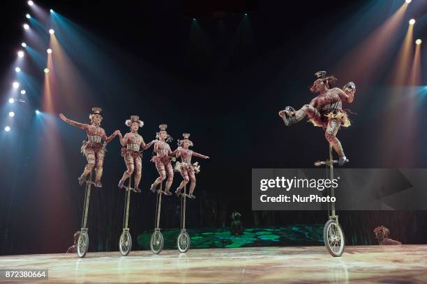 Cast perform during a performance of 'Cirque Du Soleil: Totem' in Madrid on November 9, 2017 in Madrid, Spain. TOTEM is the last circus tent show on...