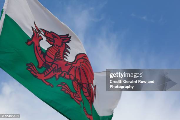 the welsh dragon - welsh flag stock pictures, royalty-free photos & images