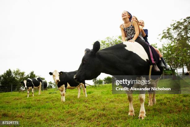 children sit on cows back - passeio em veículo motorizado imagens e fotografias de stock