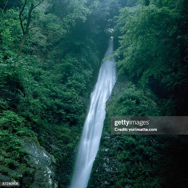 shasui waterfall - kanagawa prefecture fotografías e imágenes de stock