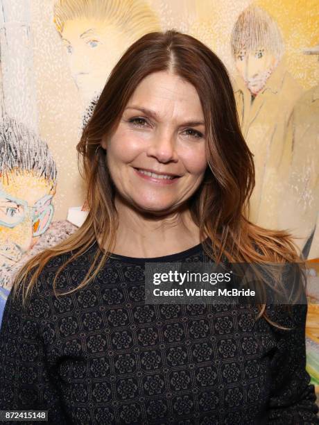 Kathryn Erbe attends The Vineyard Theatre's Emerging Artists Luncheon at The National Arts Club on November 9, 2017 in New York City.