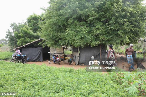 Impoverished Tamil farmer and daughter outside their home constructed from sheet metal and plastic sheets in Mannar, Sri Lanka. This family says they...