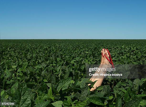 2,423 Argentina Jokes Photos and Premium High Res Pictures - Getty Images 2,423 Argentina Jokes Photos and Premium High Res Pictures - Getty Images