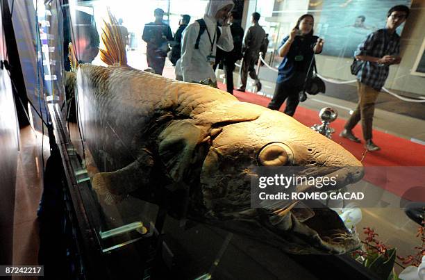 Visitors walk past a preserved specimen of a rare Coelacanth locally known as sea king, caught in Manado bay in 2007 and displayed at the Grand...