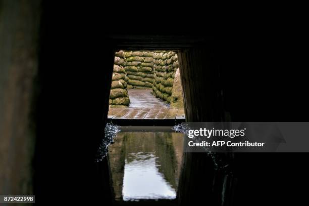 File photo taken on February 14, 2014 shows the Trench of Death were soldiers fought during World War One in Diksmuide, West Flanders. This November...