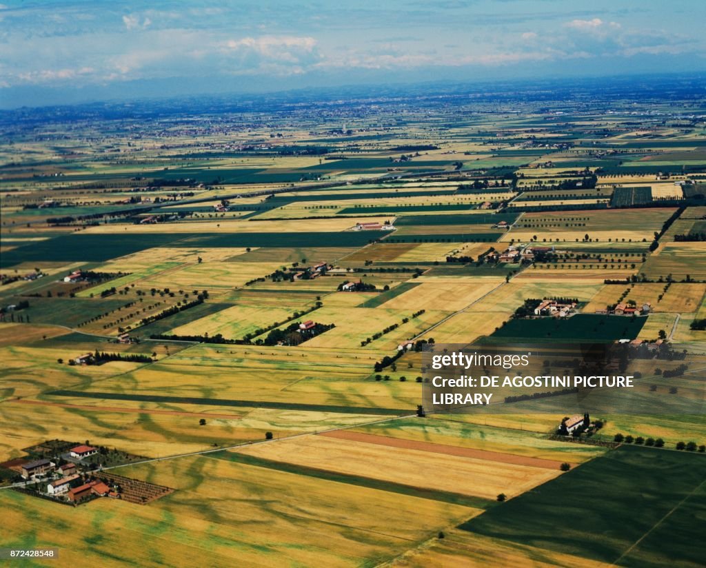 Cultivated fields, plain of Piacenza