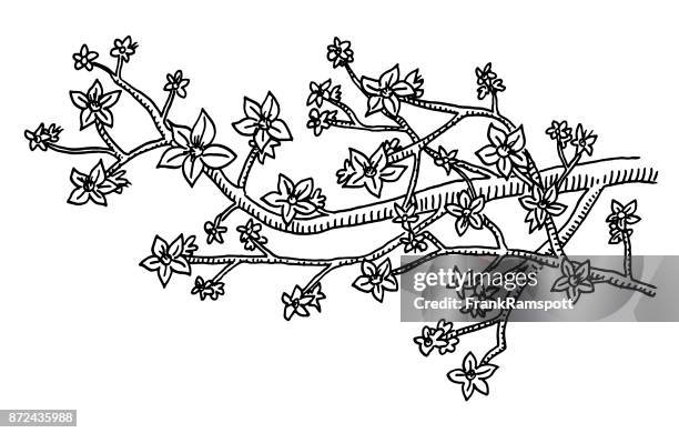 blossom twig drawing - japanese tree drawing stock illustrations