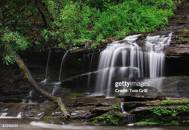 628 Spring Runoff Stock Photos, High-Res Pictures, and Images - Getty ...