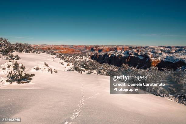 snow covered arizona - daniele carotenuto fotografías e imágenes de stock