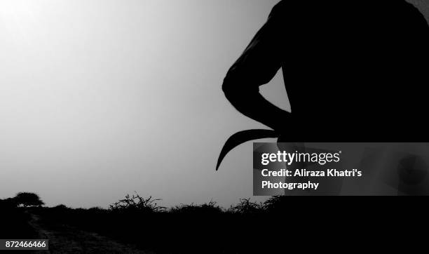killing scene - asesino fotografías e imágenes de stock