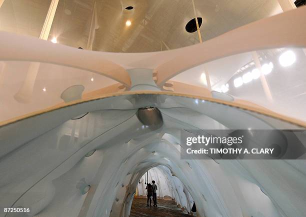 An art installation called "Anthropodino" by Brazilian artist Ernesto Neto is on dispay at the Park Avenue Armory in New York May 15, 2009.The...