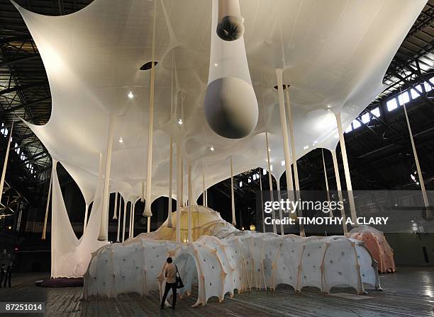 An art installation called "Anthropodino" by Brazilian artist Ernesto Neto is on dispay at the Park Avenue Armory in New York May 15, 2009.The...