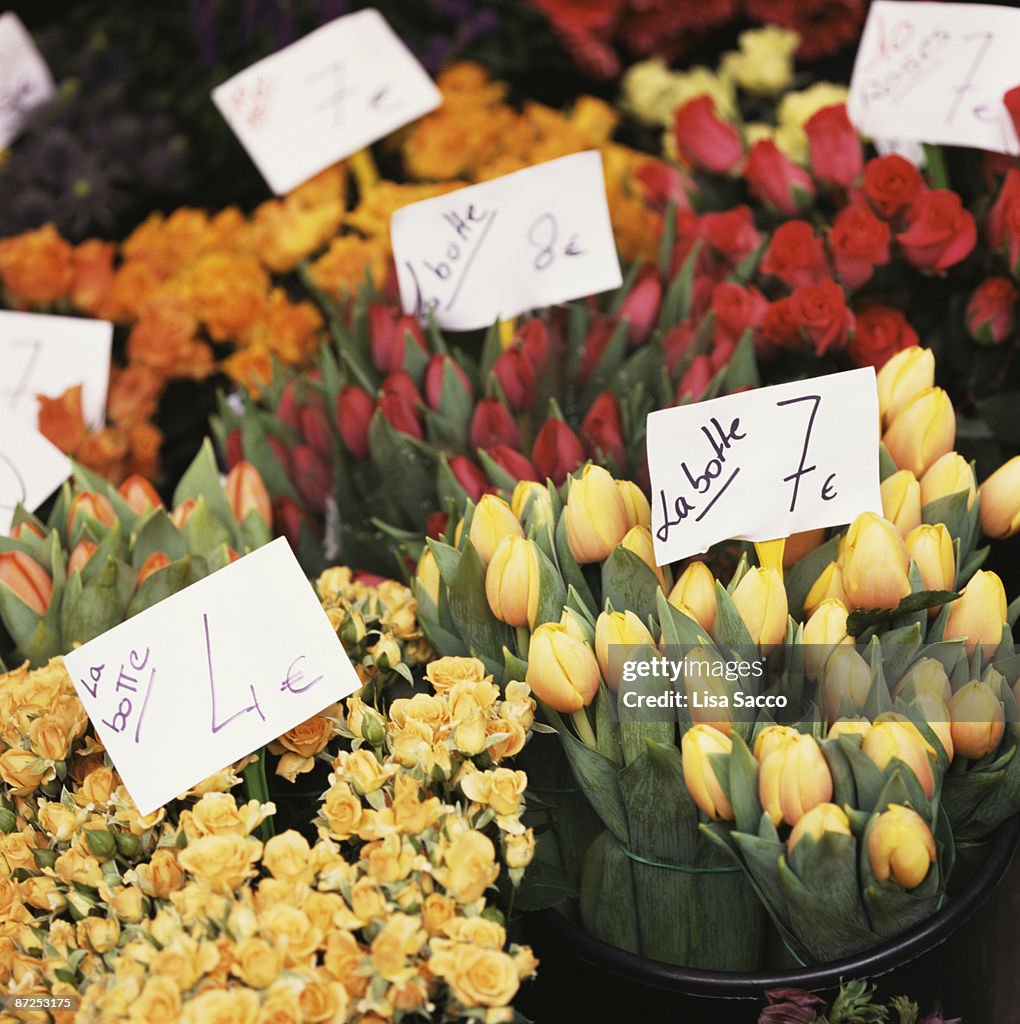 Flower shop