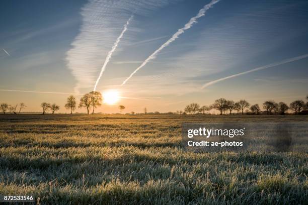 frozen grass on pasture in fog at sunrise - geada imagens e fotografias de stock