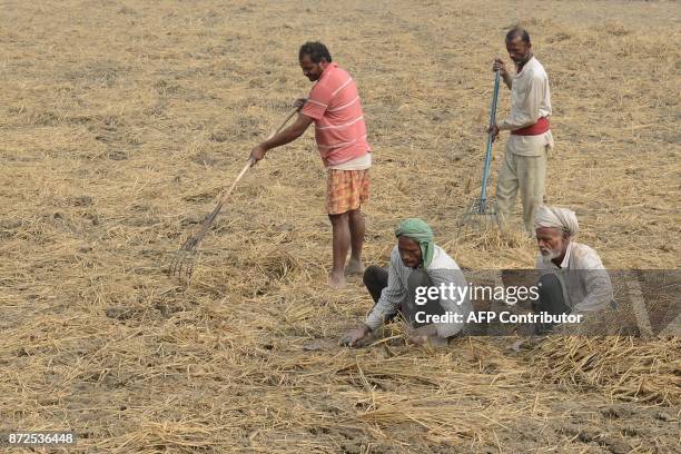Indian manual laborers harvest rice at a paddy field on the outskirts of Amritsar on November 10, 2017. / AFP PHOTO / NARINDER NANU