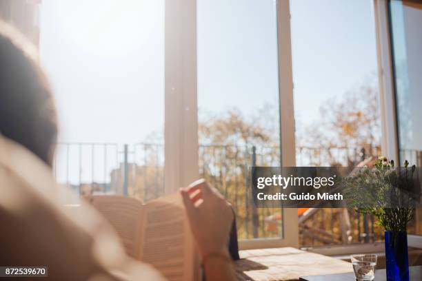 woman reading in sunlight. - books stockfoto's en -beelden