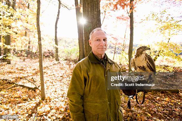 portrait of man holding red tail hawk in woods outdoors - scott wood stock pictures, royalty-free photos & images