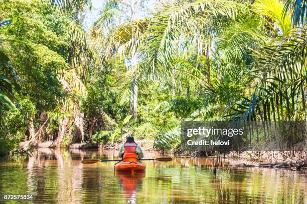 man in kayak on the river papaturro - nicaragua stock pictures, royalty-free photos & images