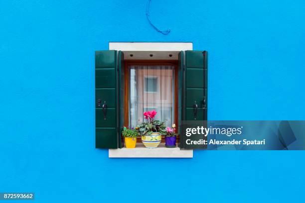 blue house window sill with flower pots - burano fotografías e imágenes de stock