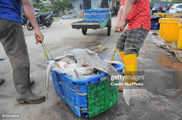 Fishermen unload the catch of shark species from the cold storage at the pier, Muara Angke, Jakarta, November 10,2017. The large demand for shark...