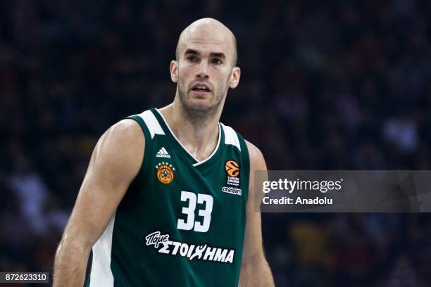 Nick Calathes of Panathinaikos Superfoods is seen during the Turkish Airlines Euroleague basketball match between Panathinaikos Superfoods and...