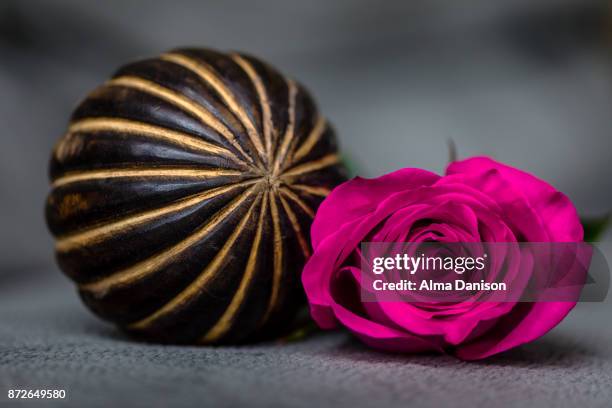 close-up of a pink rose and wooden ball - alma danison stock pictures, royalty-free photos & images
