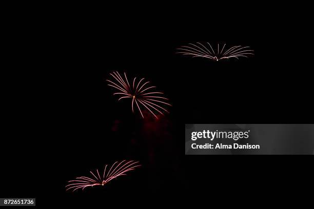 fireworks - alma danison stock pictures, royalty-free photos & images