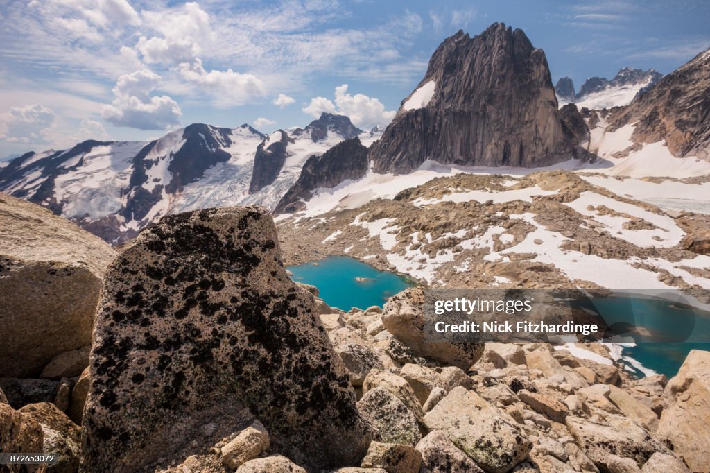 Lichen covered rock in the alpine environment of Bugaboo Provincial Park, British Columbia, Canada