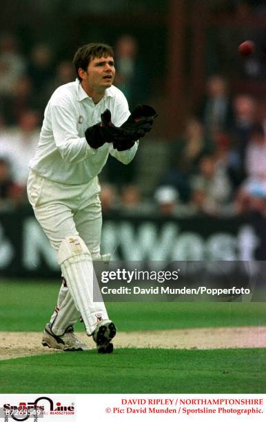 Dave Rippey David Ripley Photos and Premium High Res Pictures - Getty Images