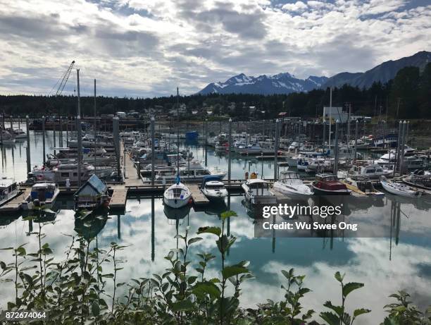 boats docked at a local pier in haines - wu swee ong stock pictures, royalty-free photos & images