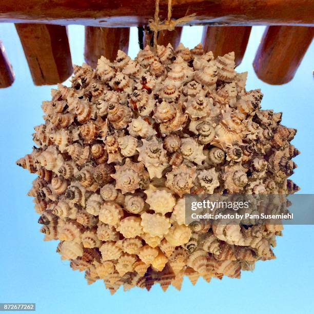 Shell Orb 76 Break Out Of Shell Stock Photos, High-Res Pictures, and Images ...