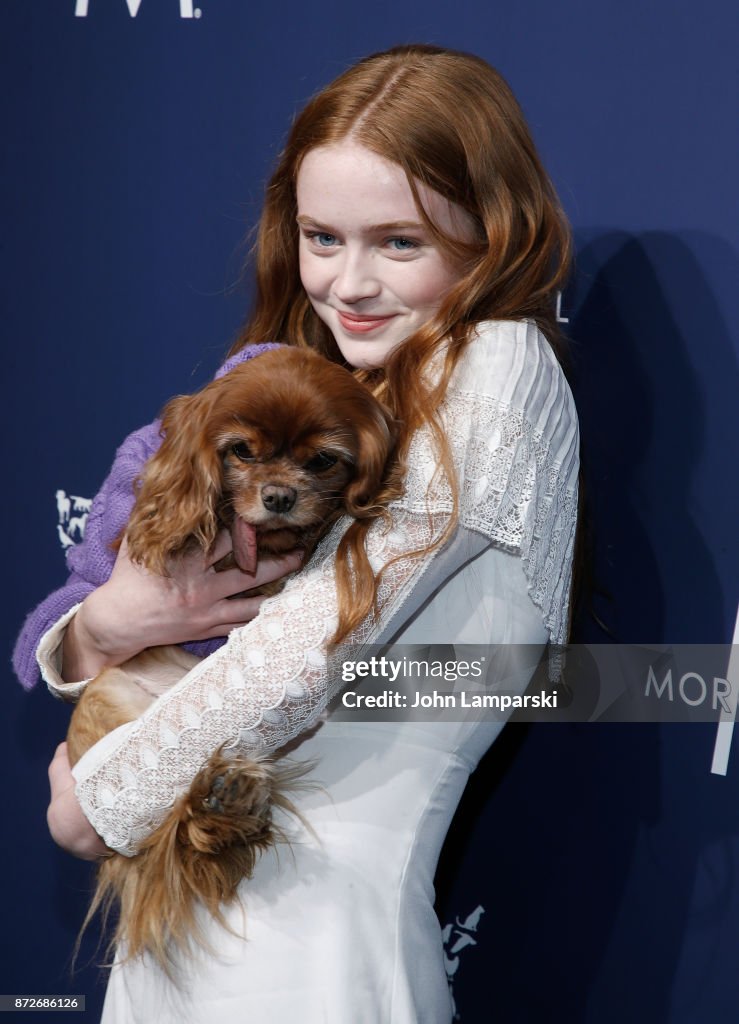 2017 Humane Society Of The United States To The Rescue! New York Gala