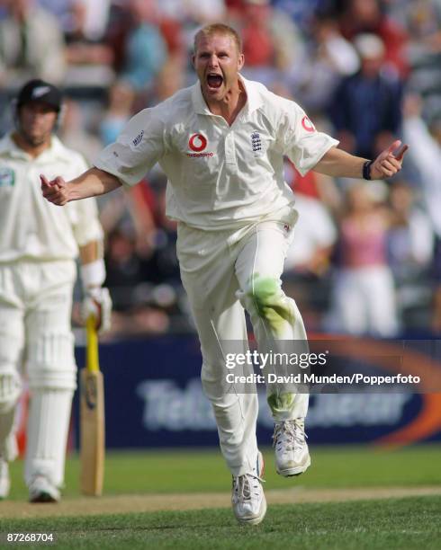 Cricket: England tour of New Zealand 2002 1st Test at Christchurch starting MATTHEW HOGGARD CELEBRATES DISMISSING NATHAN ASTLE FOR 222 TO WIN THE...