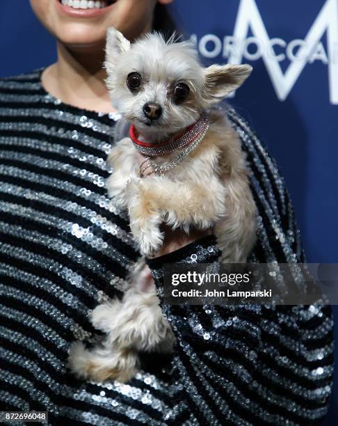 Dog named Ella Bean attends 2017 Humane Society of The United States to the Rescue! New York Gala at Cipriani 42nd Street on November 10, 2017 in New...