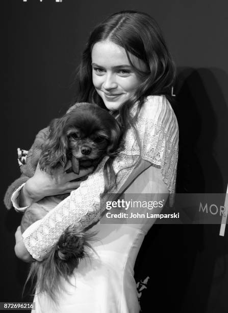 Sadie Sink and a dog named Toast attend 2017 Humane Society of The United States to the Rescue! New York Gala at Cipriani 42nd Street on November 10,...