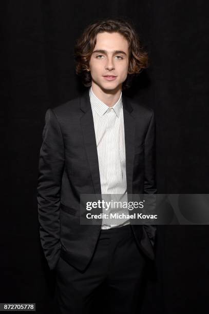 Timothee Chalamet attends the screening of "Call Me By Your Name" at AFI FEST 2017 Presented By Audi at TCL Chinese Theatre on November 10, 2017 in...