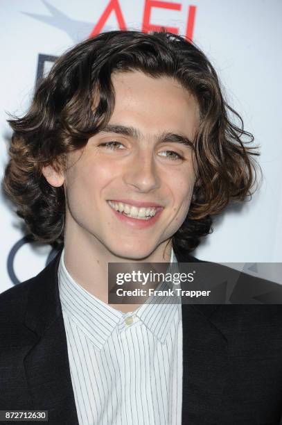 Actor Timothee Chalamet attends the screening of "Call Me By Your Name" at AFI FEST 2017 Presented By Audi at TCL Chinese Theatre on November 10,...