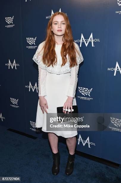 Actress Sadie Sink attends the 2017 Humane Society of the United States to the Rescue! New York Gala at Cipriani 42nd Street on November 10, 2017 in...