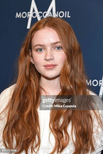 Actress Sadie Sink attends the 2017 Humane Society of the United States to the Rescue! New York Gala at Cipriani 42nd Street on November 10, 2017 in...