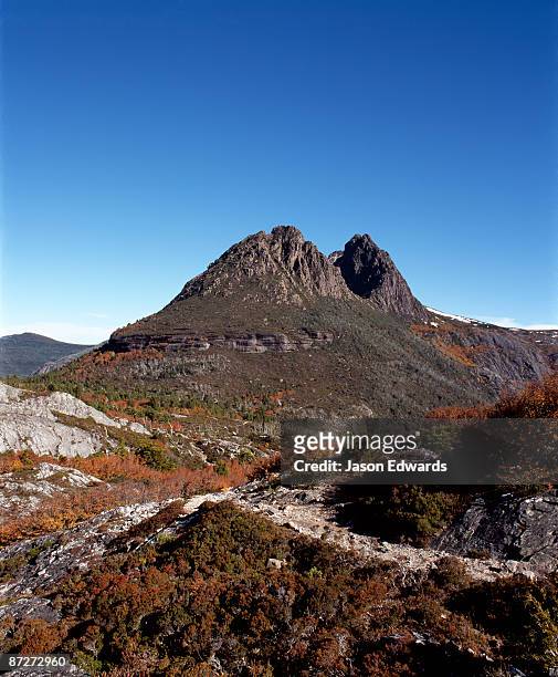 rugged crags overlook ancient stands of deciduous beech in fall. - cradle mountain stock-fotos und bilder