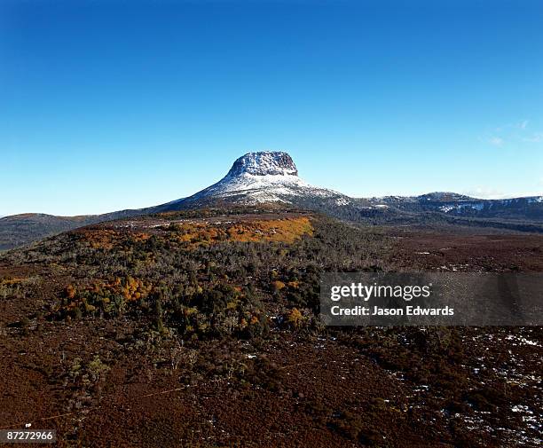 a snow-capped barn bluff and deciduous beech in fall colors. - cradle mountain stock-fotos und bilder